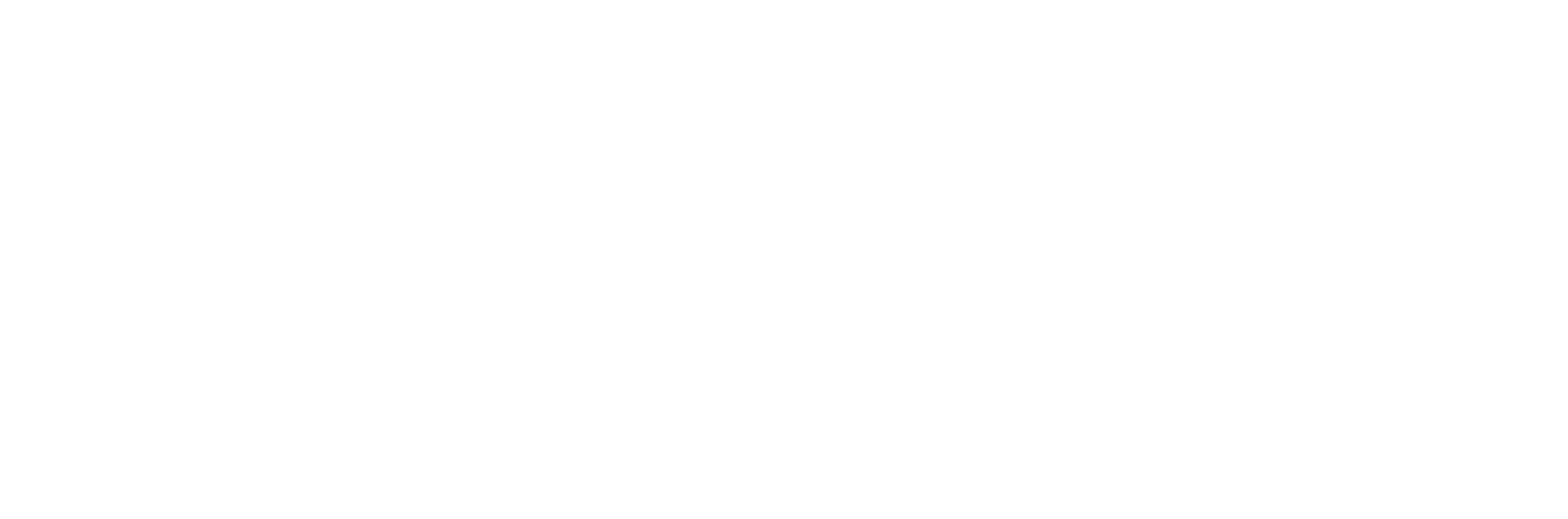 Connect Logo